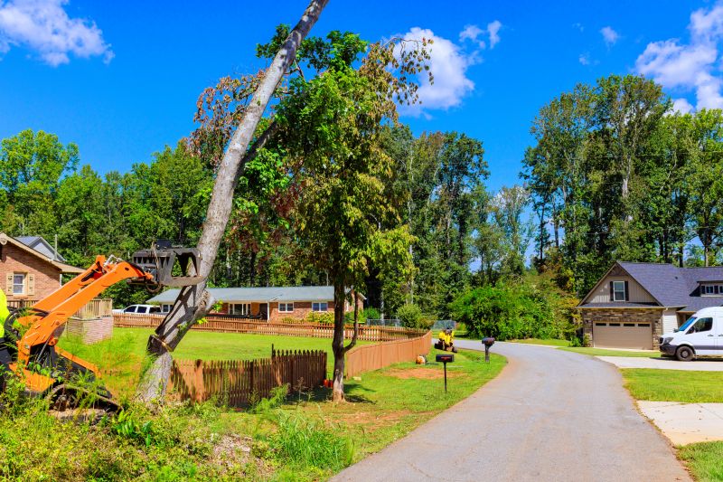 Tree Removal Service in Allentown, PA