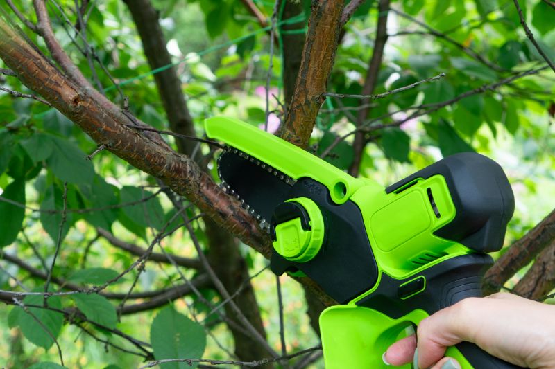 Improves safety by clearing obstructed pathways