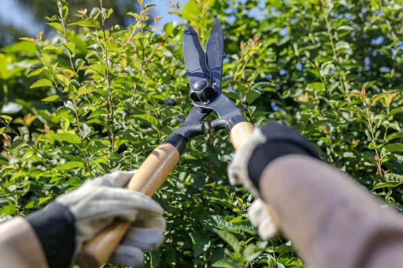 Promotes healthy growth by removing dead branches