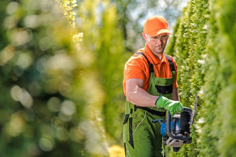 Shrub Trimming - Shrub Trimming Destin, Florida